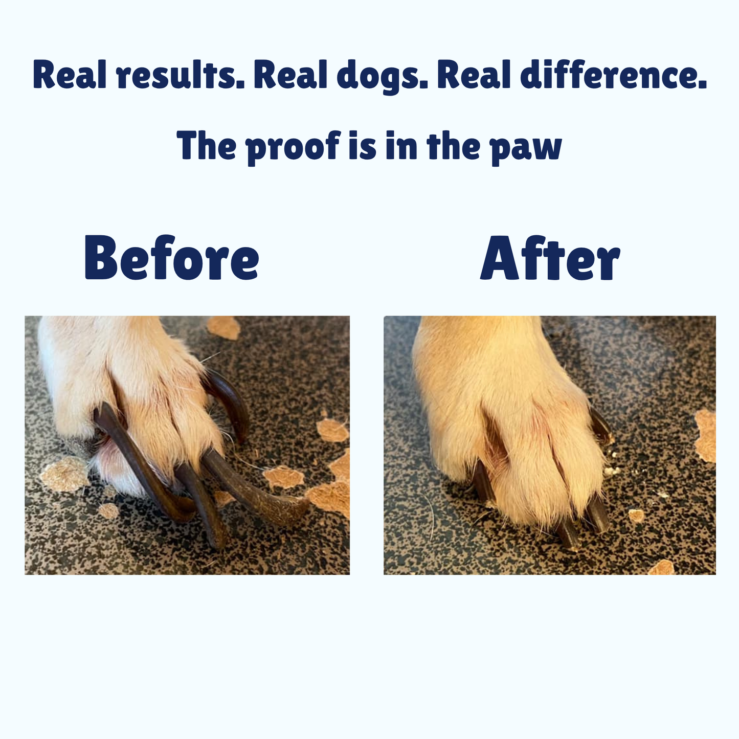 Gentle Paws | Nail Wellness Board