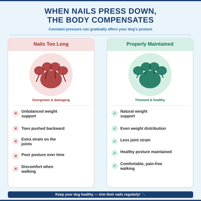Gentle Paws | Nail Wellness Board